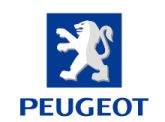 Peugeot 304 1.3 (CO2)