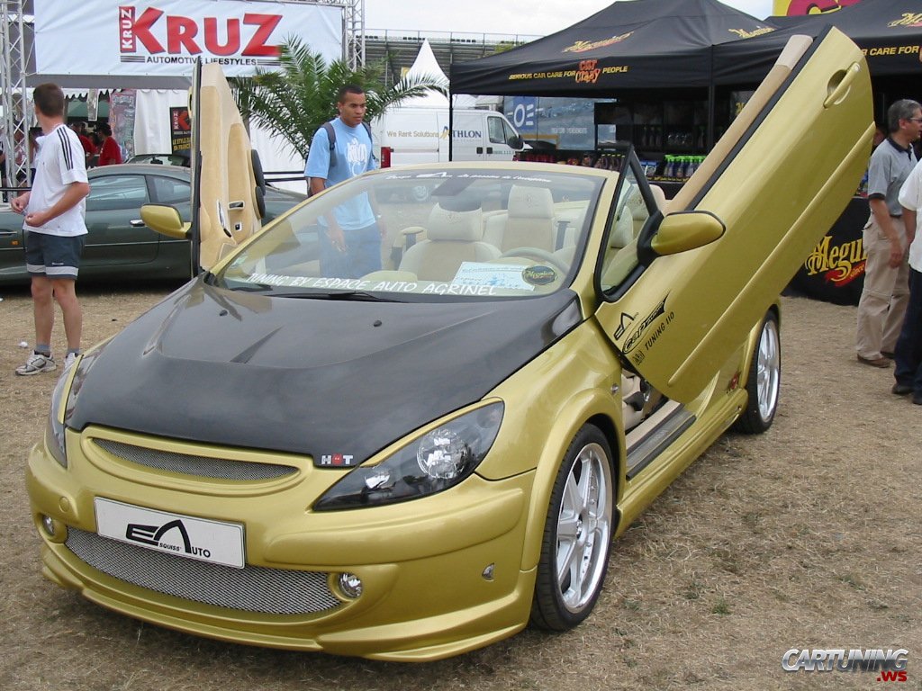 Peugeot 307 CC 135