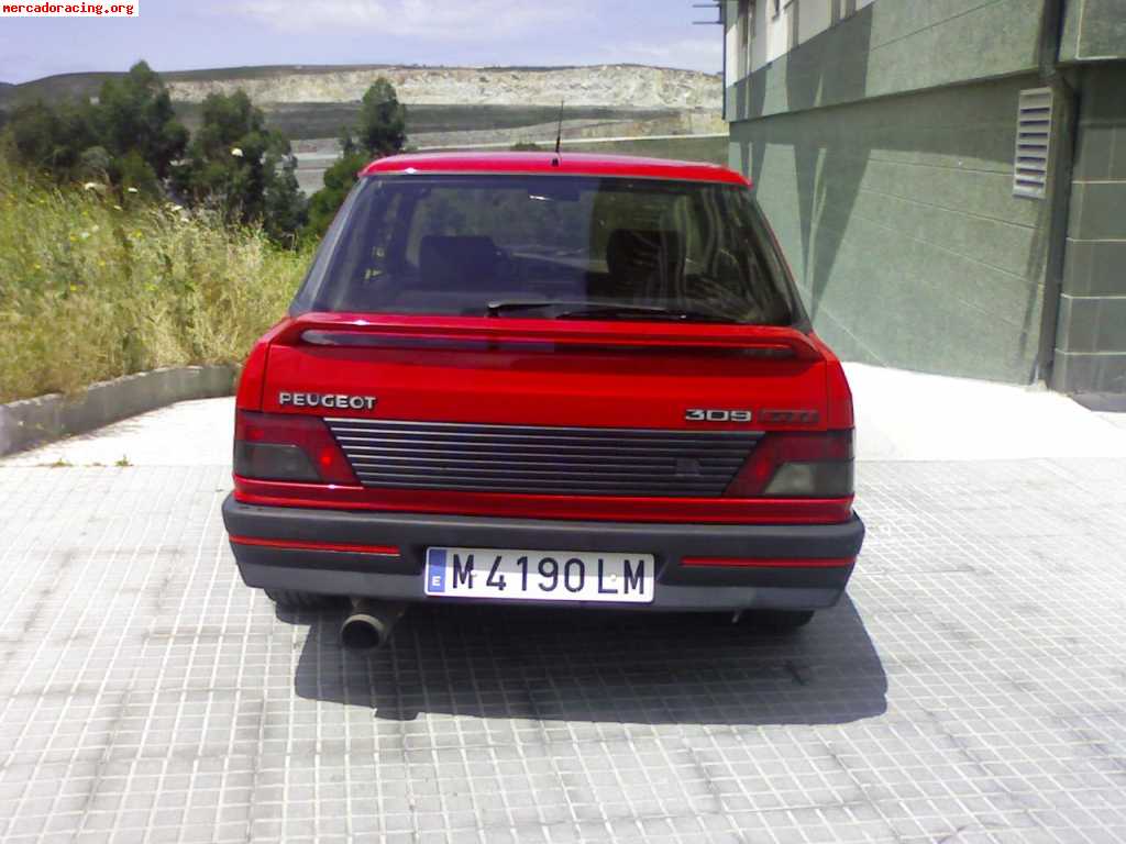 Peugeot 309 1.8 Diesel