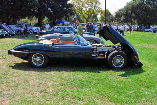 Jaguar E Type V12