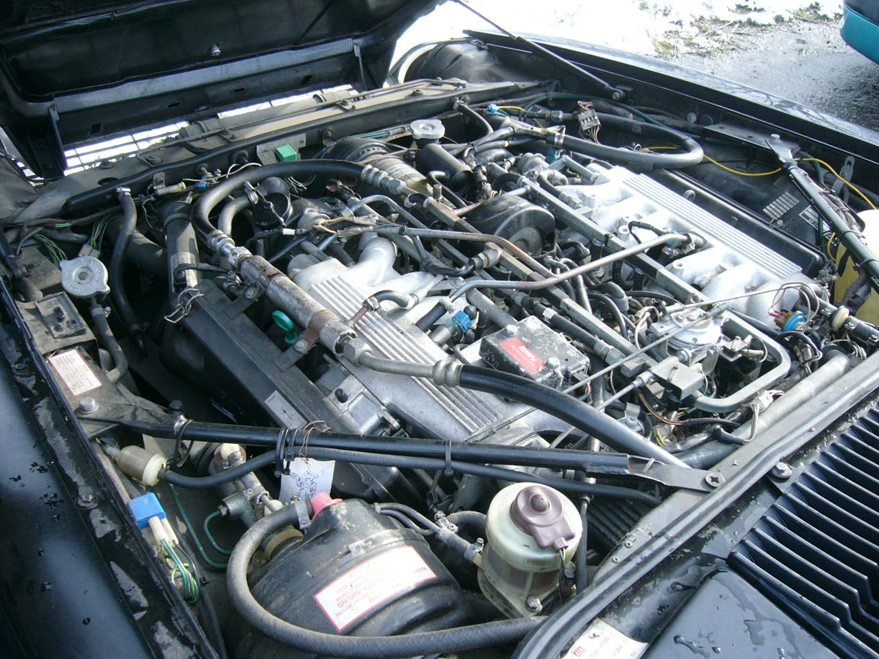 Jaguar XJS 5.3
