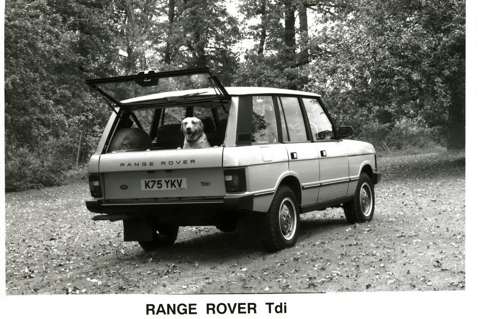 Rover 12